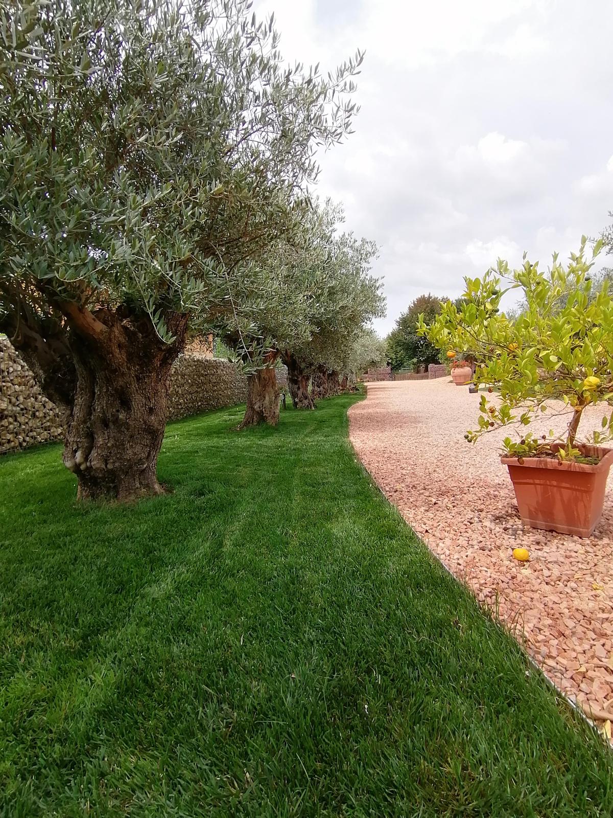 Impianto di irrigazione per giardino - Anima Verde